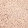 Ковровое покрытие Atos 10576 L_ROSE